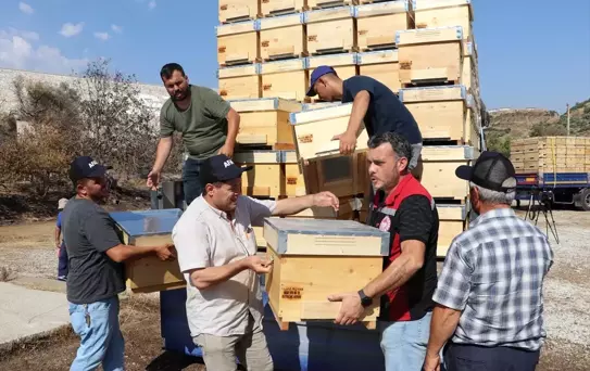Orman Yangınları Zararını Devlet Karşılıyor