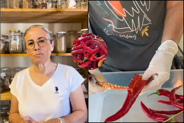 Seferihisar’da sağlıklı gıdanın ve özgür üretimin simgesi haline gelen atalık