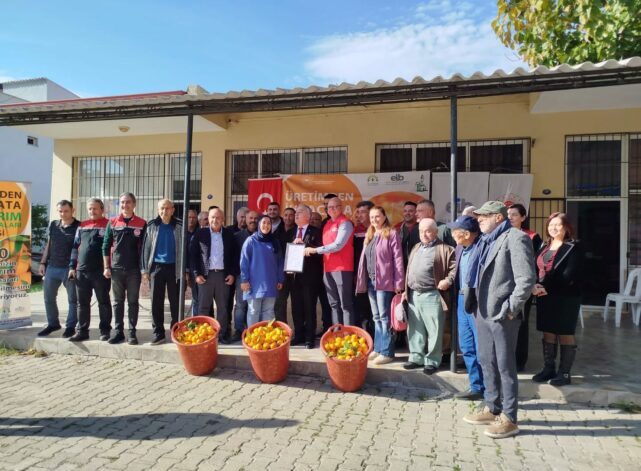 Türkiye’nin en önemli narenciye merkezlerinden biri olan İzmir, satsuma mandalinası