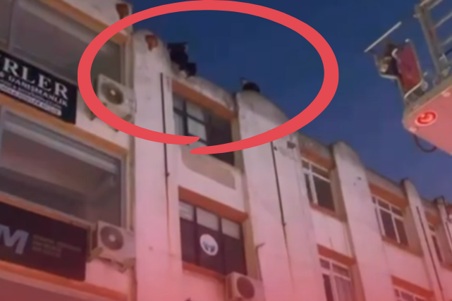 Seferihisar merkezde bunalıma giren bir gencin intihar girişimi, polis ekiplerinin