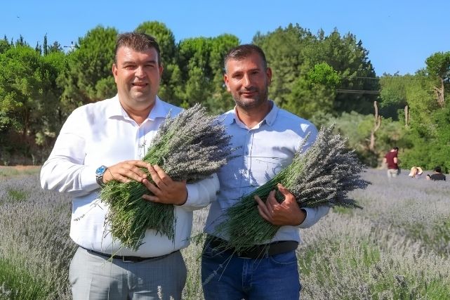 Seferihisar'da geleneksel olarak düzenlenen Lavanta Hasat Şenliği, bu yıl 11.
